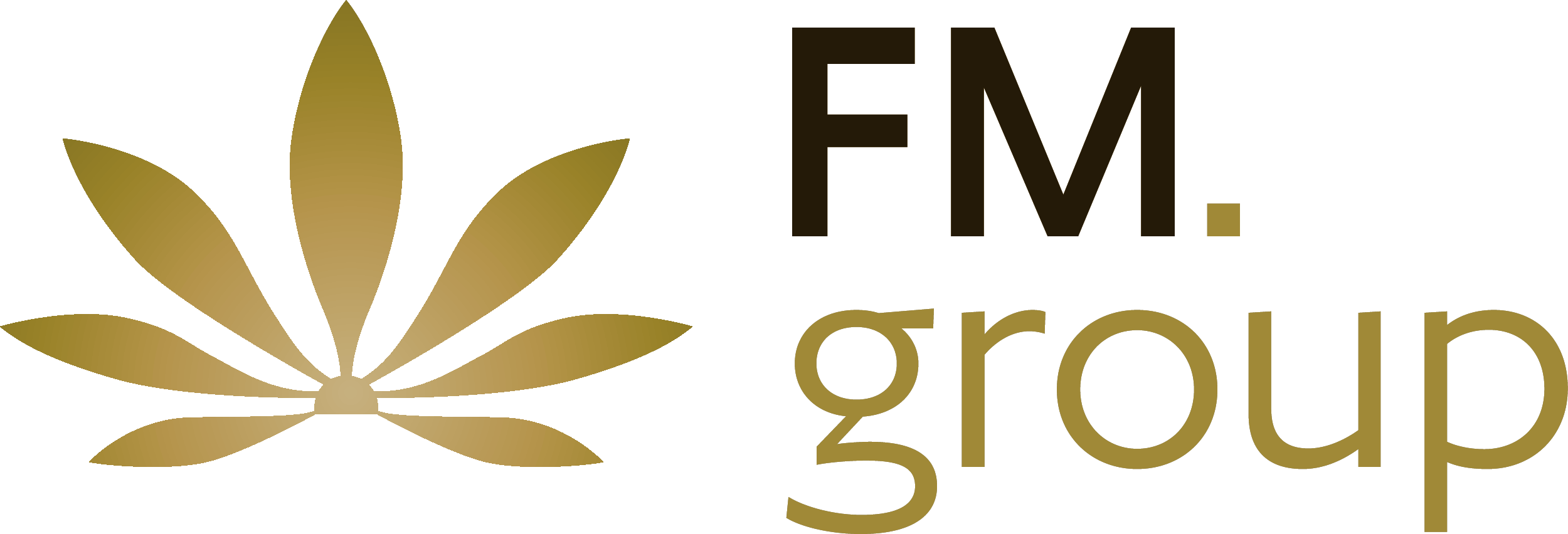 Logo FM Group